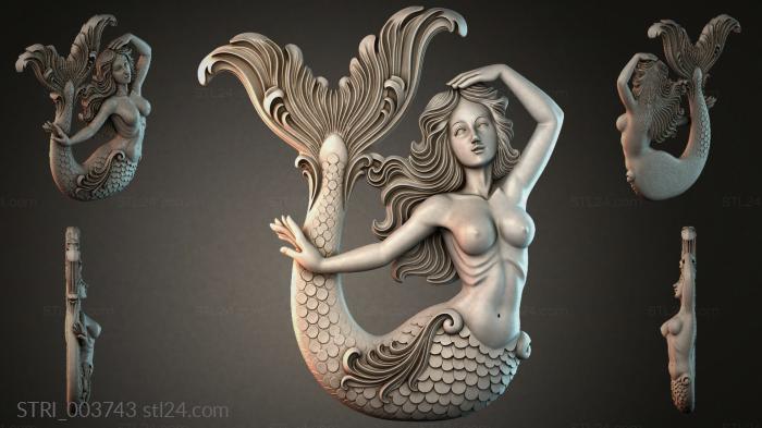 STRI_003743