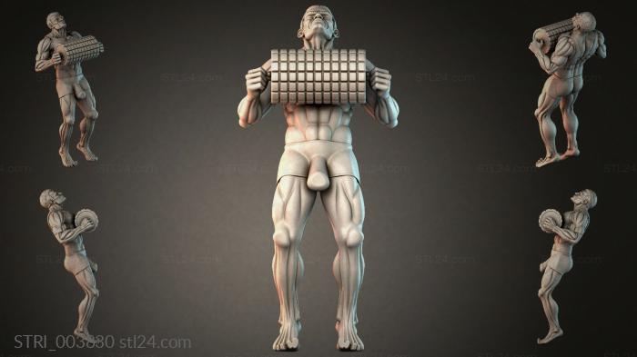 STRI_003830 3d STL model