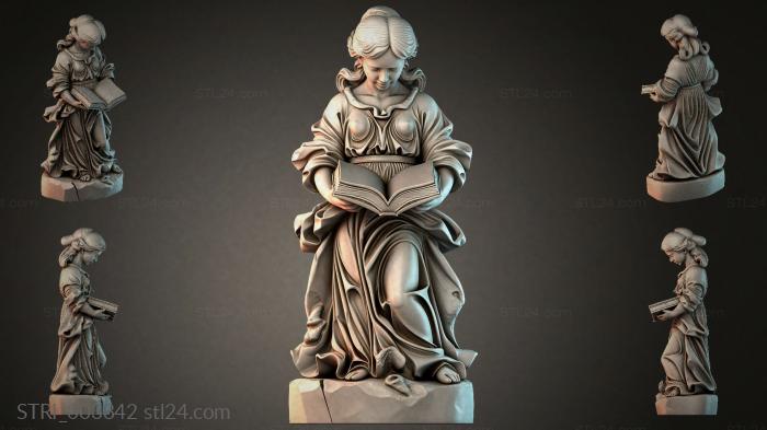 STRI_003842 3d STL model