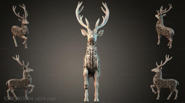 STRI_003904