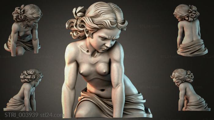 STRI_003939