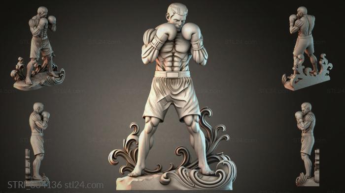 STRI_004136 3d STL model