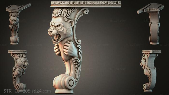 STRI_004205