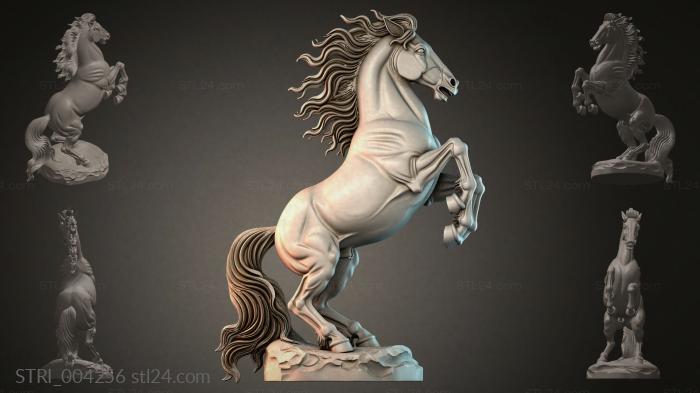 STRI_004256 3d STL model
