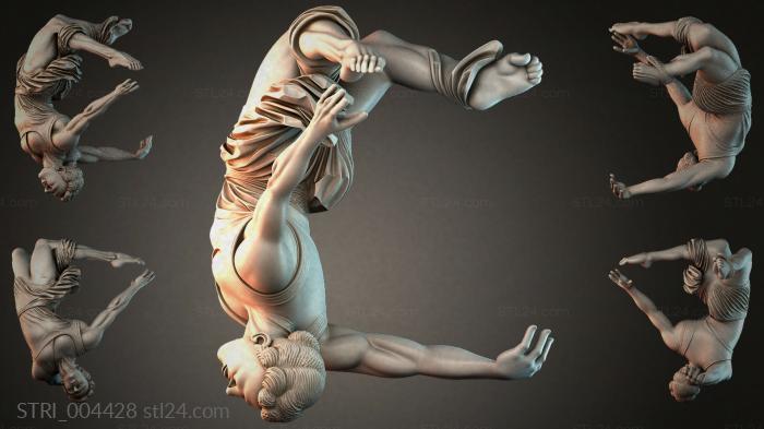 STRI_004428 3d STL model