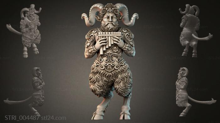 STRI_004487