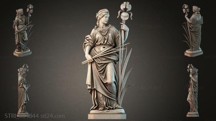 STRI_004844 3d STL model