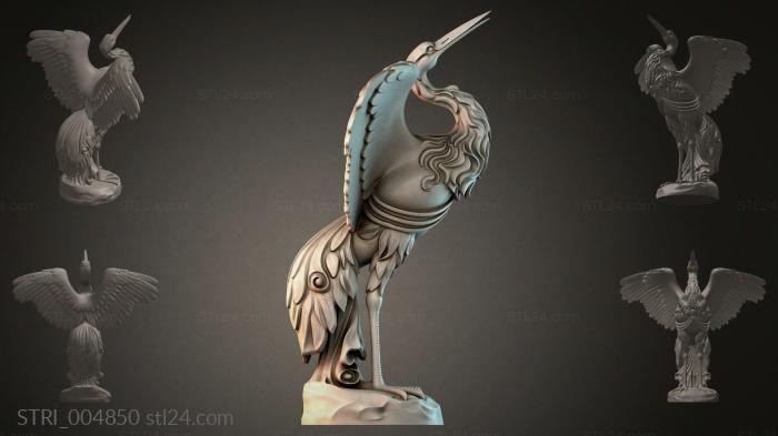 STRI_004850 3d STL model