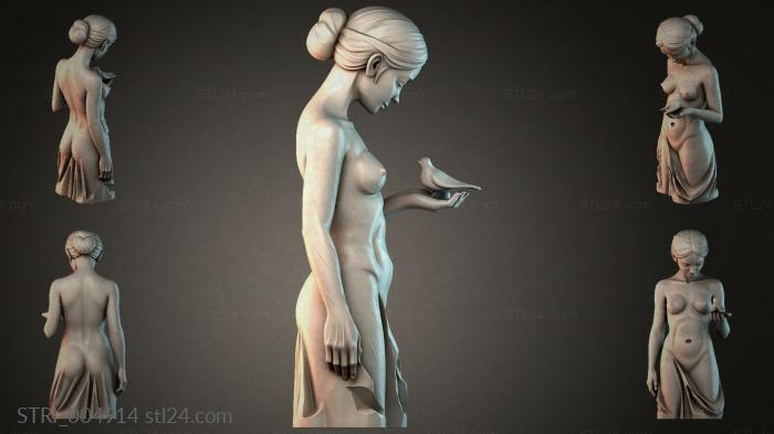 STRI_004914 3d STL model