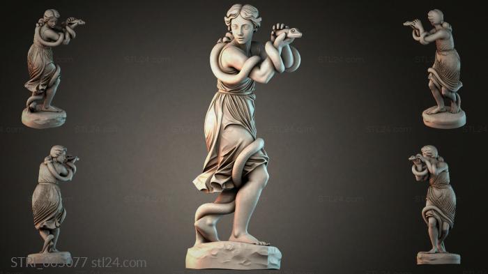 STRI_005077 3d STL model
