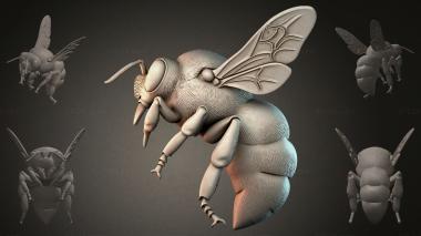 Various figurines STRI_005287 3d model