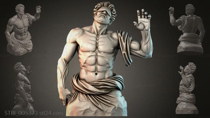STRI_005373 3d STL model