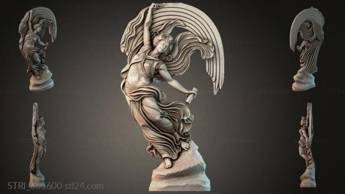 STRI_005600