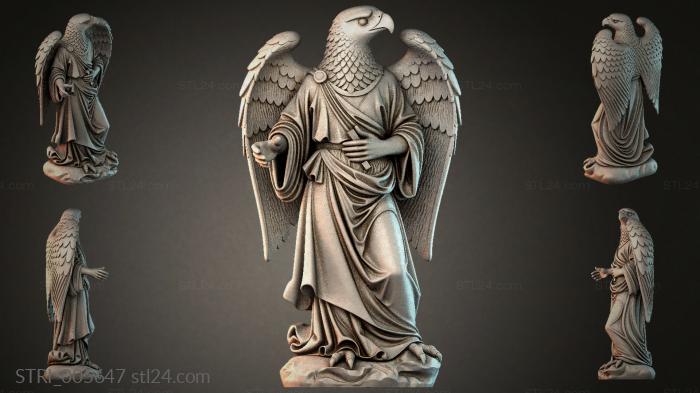 STRI_005647 3d STL model
