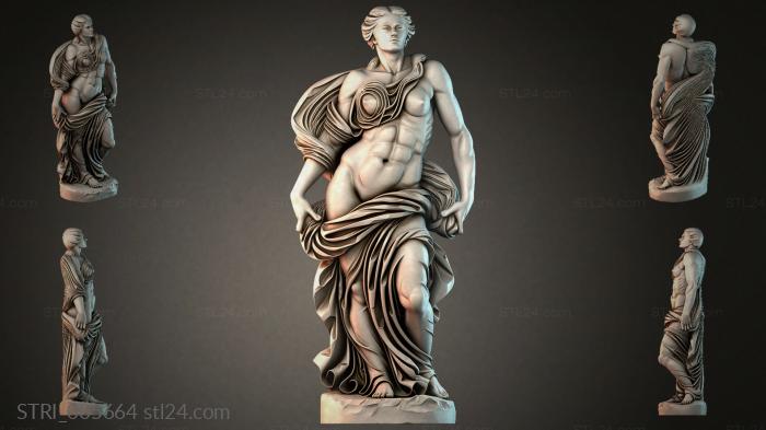 STRI_005664 3d STL model
