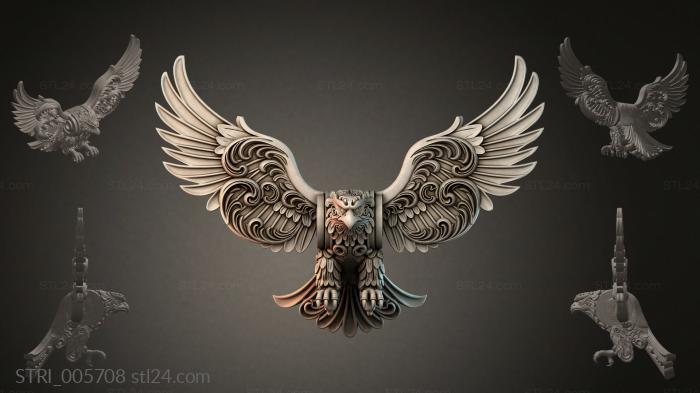 STRI_005708