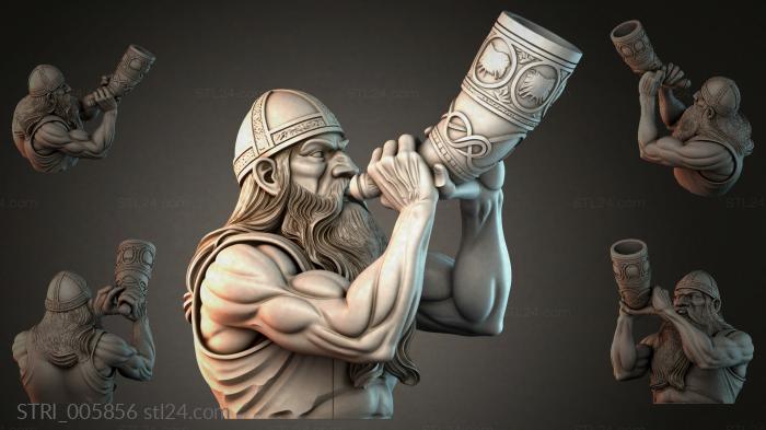 STRI_005856 3d STL model