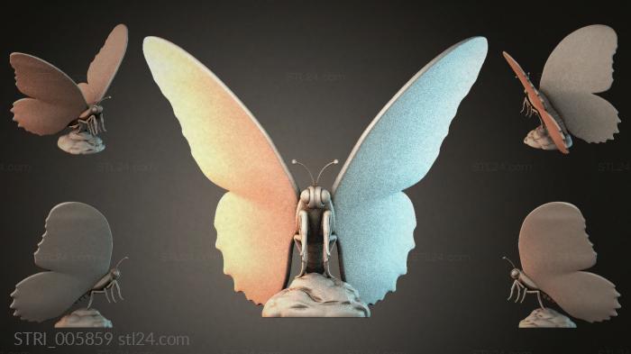 STRI_005859 3d STL model