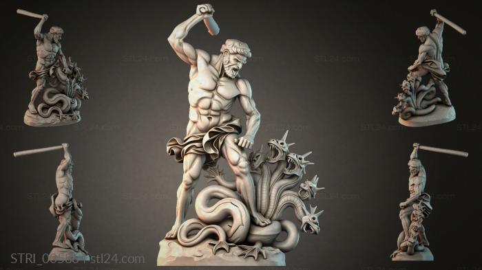 STRI_005864 3d STL model
