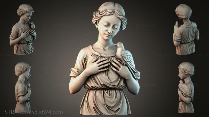 STRI_005958 3d STL model