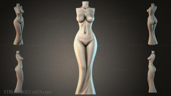 STRI_006023