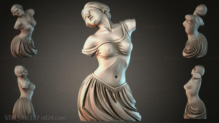 STRI_006107