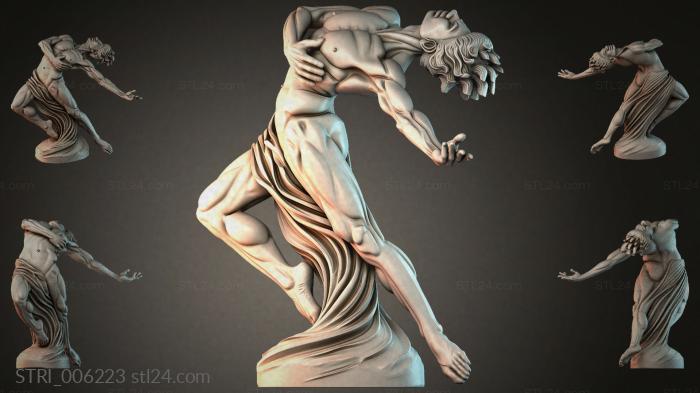 STRI_006223