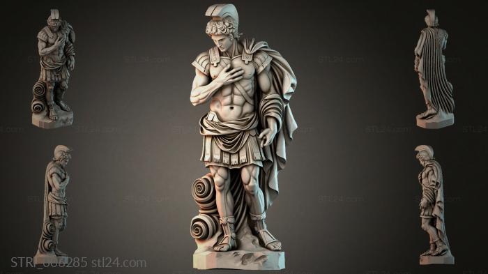 STRI_006285 3d STL model