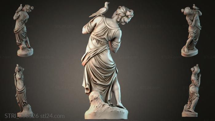 STRI_006526