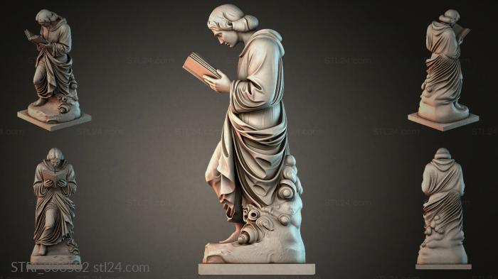STRI_006582 3d STL model