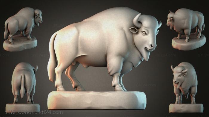 STRI_006613 3d STL model