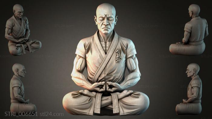 STRI_006651 3d STL model