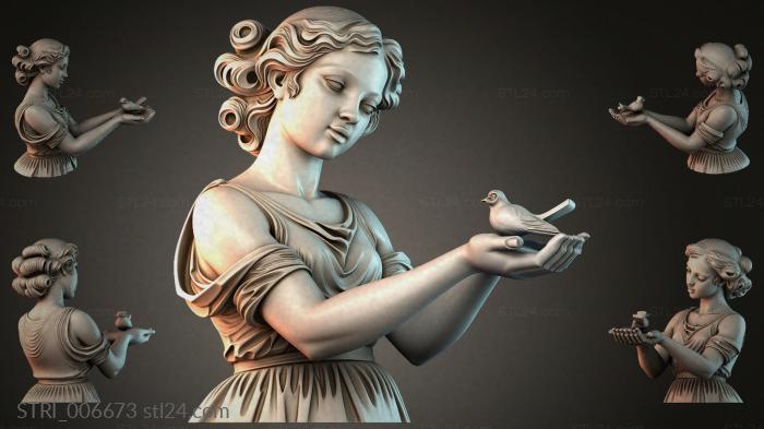 STRI_006673 3d STL model