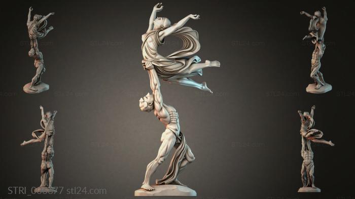 STRI_006677 3d STL model