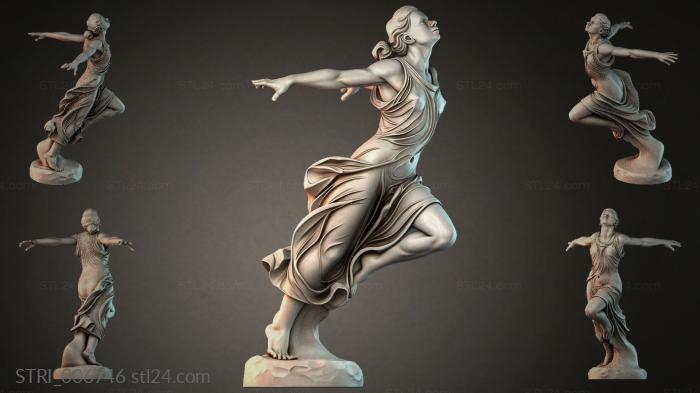 STRI_006746 3d STL model