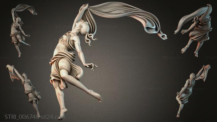 STRI_006748 3d STL model