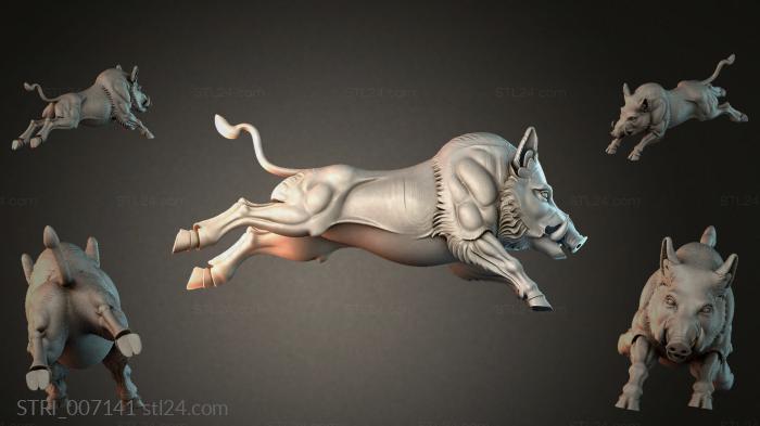 STRI_007141 3d STL model