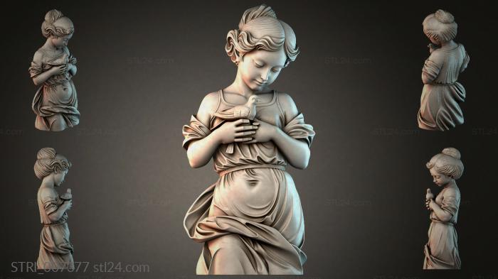 STRI_007377