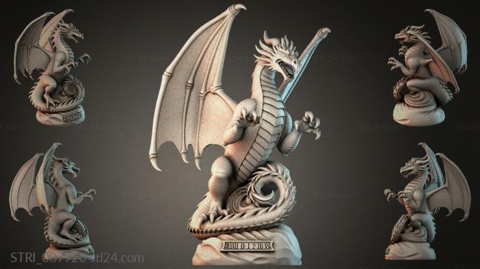 STRI_007720