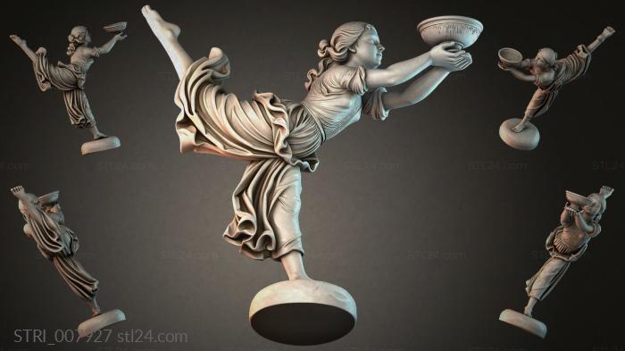 STRI_007927 3d STL model