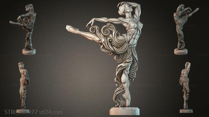 STRI_007977 3d STL model