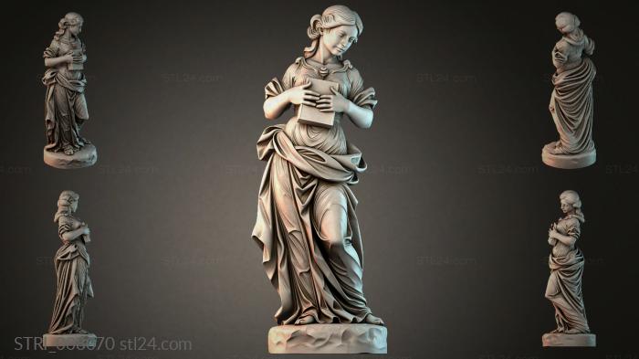 STRI_008070