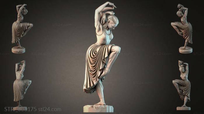 STRI_008175