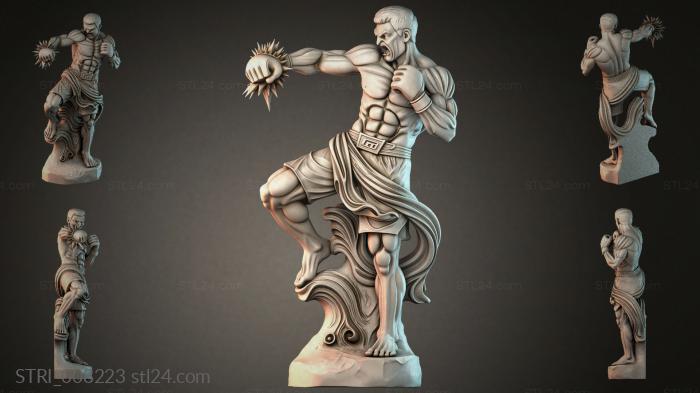 STRI_008223 3d STL model