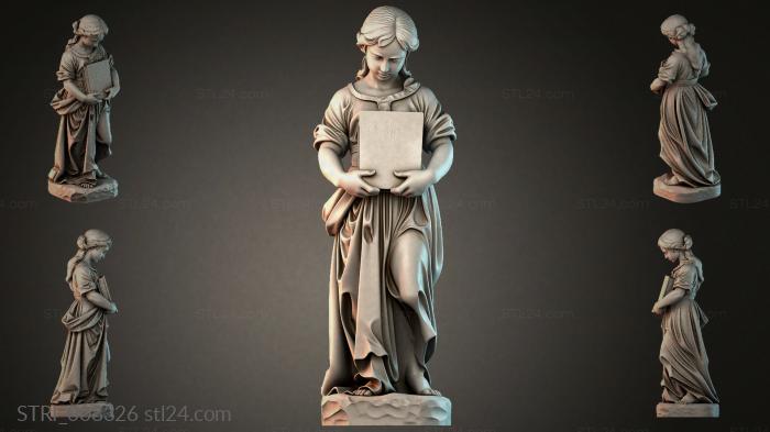 STRI_008326 3d STL model