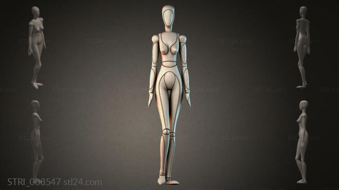 STRI_008547