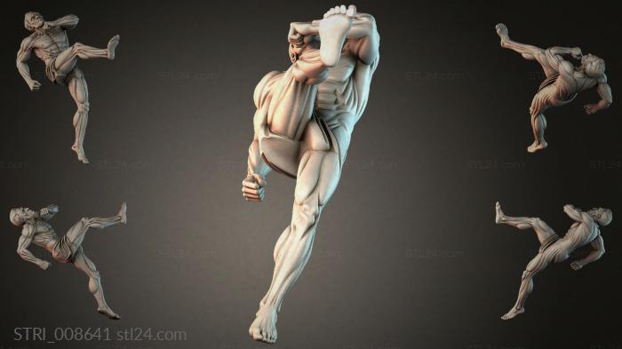 STRI_008641