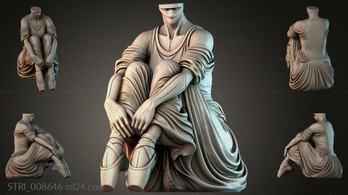 STRI_008646