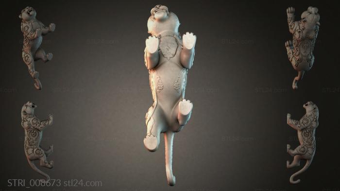 STRI_008673