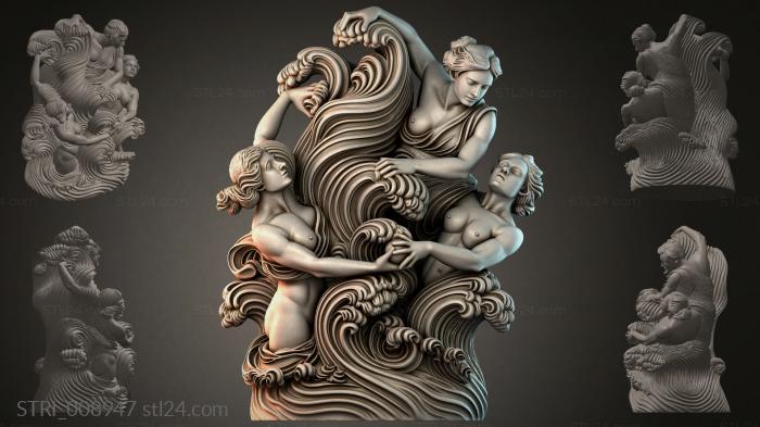 STRI_008947